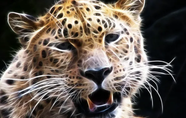 Picture mustache, look, face, leopard, 3D graphics