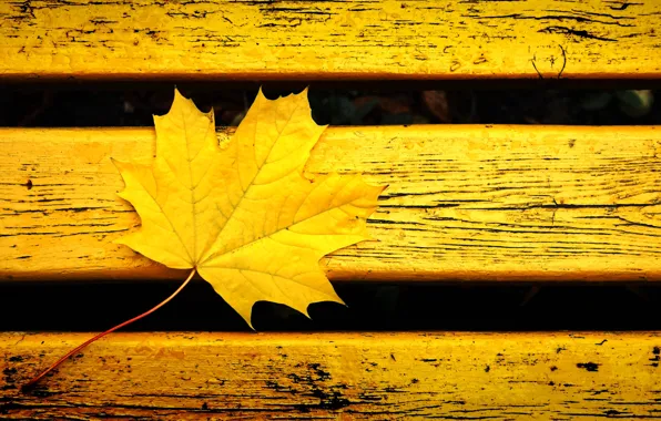 Autumn, leaves, bench, yellow, background, mood, color, yellow leaf