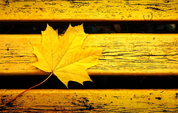 Picture autumn, bench, yellow, sheet, background, mood, color, yellow leaf