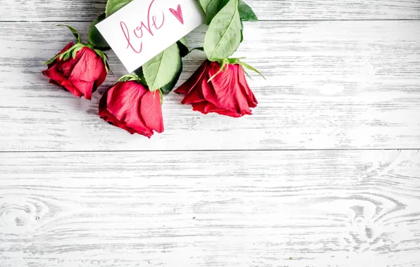 Love, flowers, roses, bouquet, hearts, red, red, love