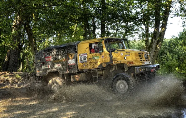 Picture forest, water, vegetation, Mercedes-Benz, dirt, truck, the roads, rally