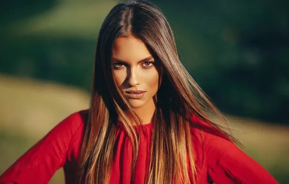 Picture look, girl, the sun, photo, model, hair, portrait, tan