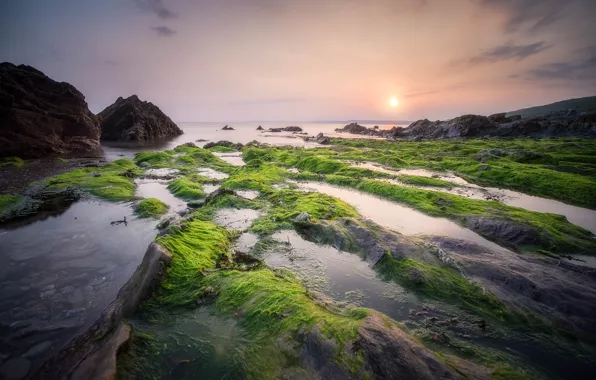 Picture sea, rocks, coast