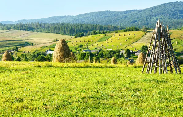 Picture field, forest, mountains, nature, stack, hay, Ukraine, Carpathians