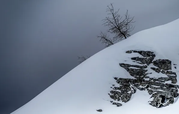 Rock, winter, mountain, snow, tree, cloudy