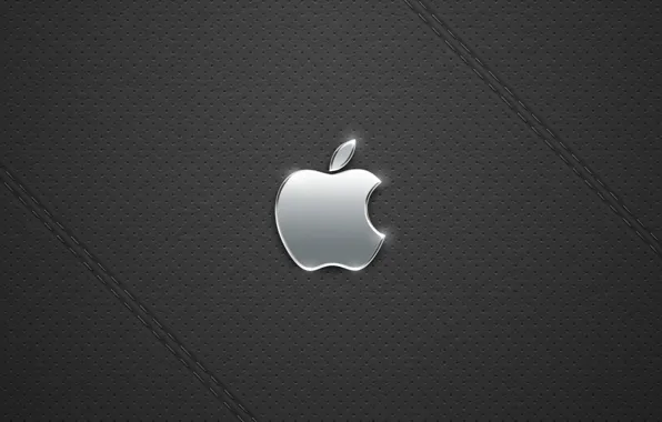 Picture Apple, black, metall