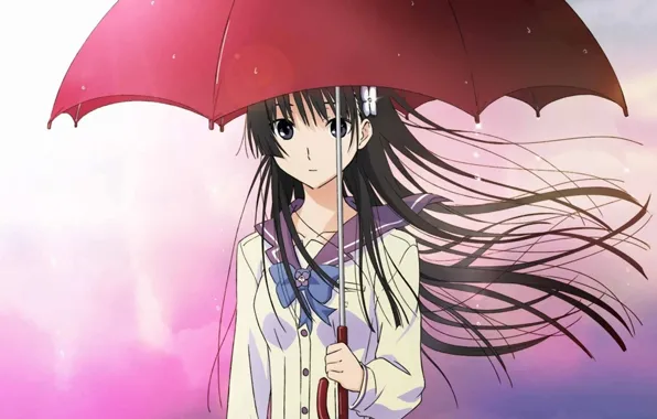 Girl, drops, umbrella, anime, art, flower, sanka rea, sankarea