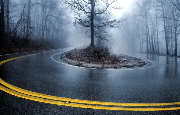 Picture road, landscape, fog