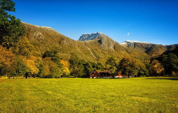 Picture autumn, forest, grass, trees, mountains, glade, waterfall, house.
