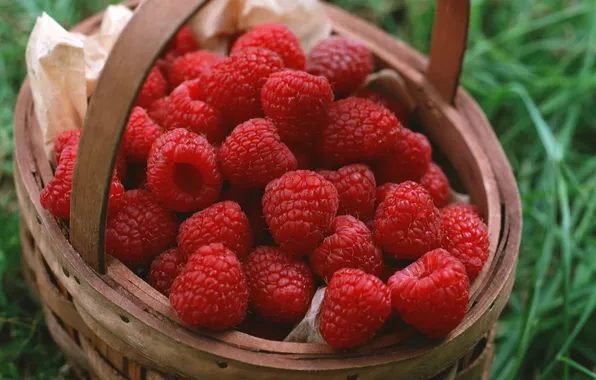 Grass, berries, raspberry