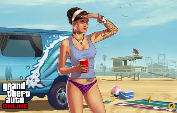 Beach, girl, birds, flag, art, van, girls, Grand Theft Auto V