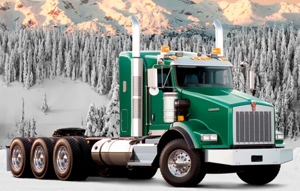 Picture forest, snow, mountains, truck, green, t800, the front, track