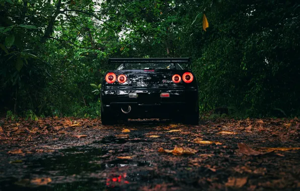 Leaf r34 on sale