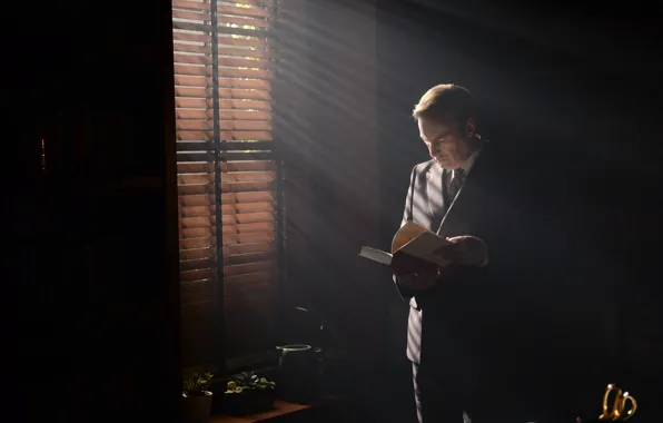 Breaking Bad, Better Call Saul, Better call Saul!, spin-off