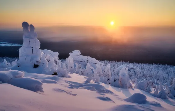 Winter, the sun, snow, trees, landscape, mountains, nature, morning