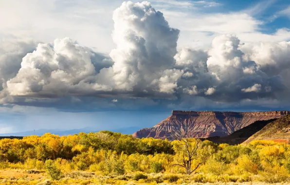Mountains, nature, Park, USA, Zion National Park