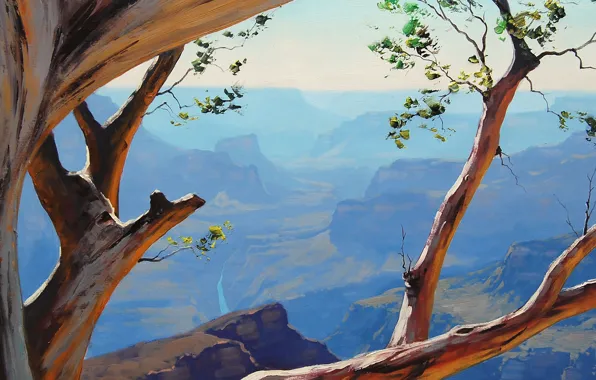 Trees, branches, nature, rocks, art, canyon, crooked, artsaus