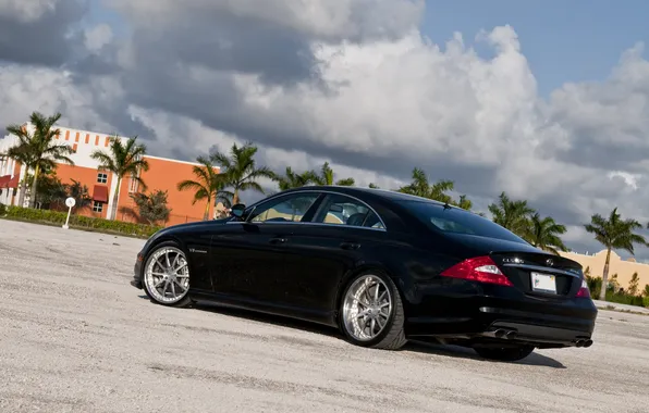 The sky, clouds, palm trees, black, Mercedes, black, Mercedes, amg