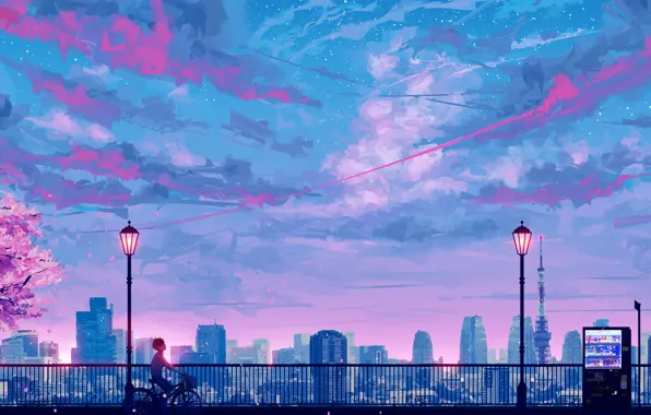 The sky, sunset, bike, Sakura, guy, stop, by SeerLight