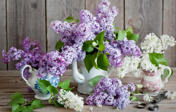 Picture flowers, bouquet, lilac