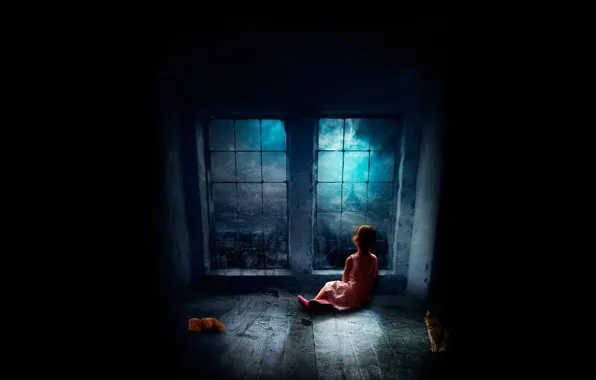 Picture cat, night, darkness, window, girl, floor, sitting, on the floor