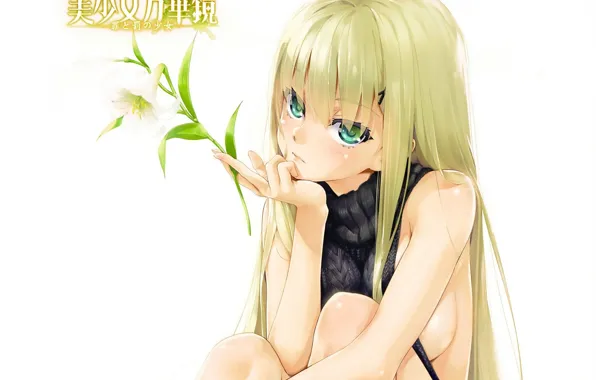 Picture characters, blue eyes, long hair, knees, white lilies, visual novel, Bishoujo Mangekyou: Norowareshi Densetsu No …