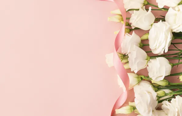 Flowers, tape, composition, eustoma