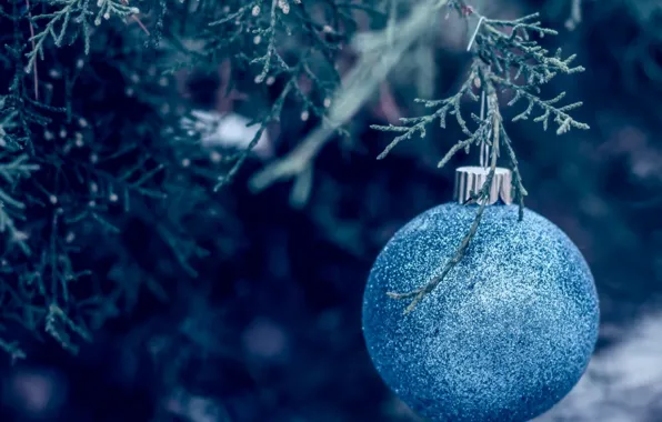 Decoration, ball, New year, tree, blue