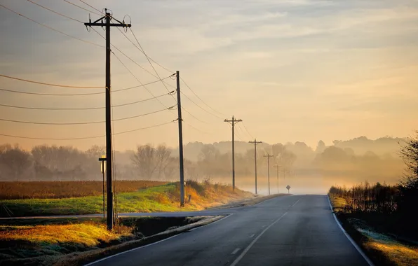 Road, landscape, morning