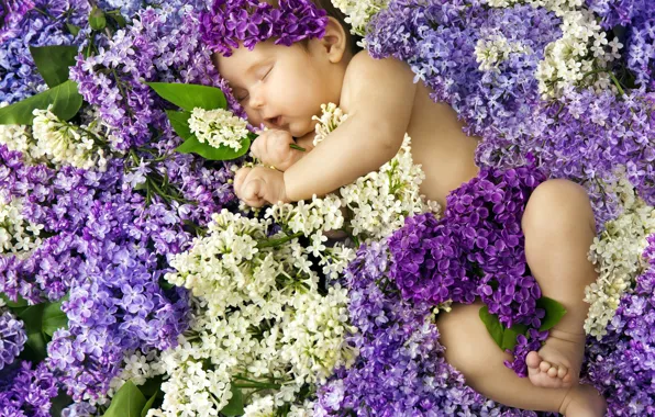 Picture baby, sleeping, lilac