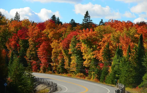 Road, autumn, forest, the sky, clouds, trees