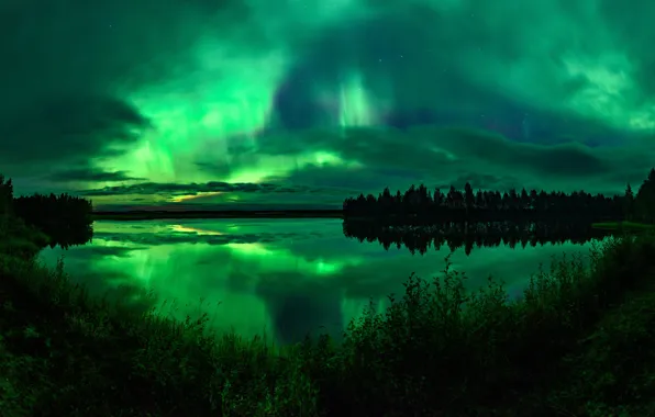 Forest, the sky, grass, clouds, night, lake, reflection, shore