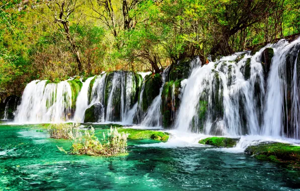 Greens, trees, Park, waterfall, moss, China, the bushes, reserve