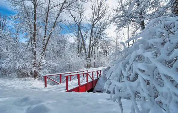 Picture winter, snow, trees, Park, the bridge