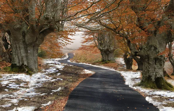 Navarre, Baztan, Zuaztoi