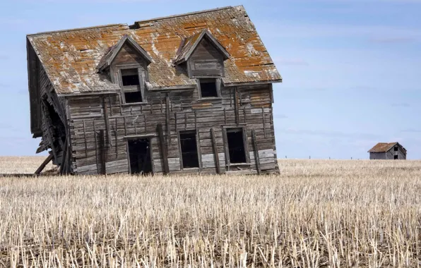 Field, the sky, house