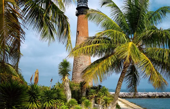 Picture Lighthouse, FL, Palm trees