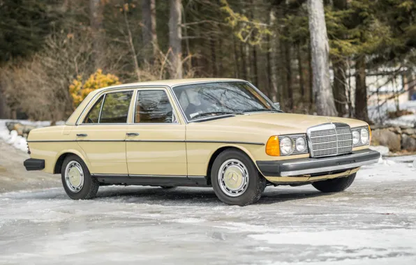 Picture Mercedes - Benz, 1979, W123, 240D