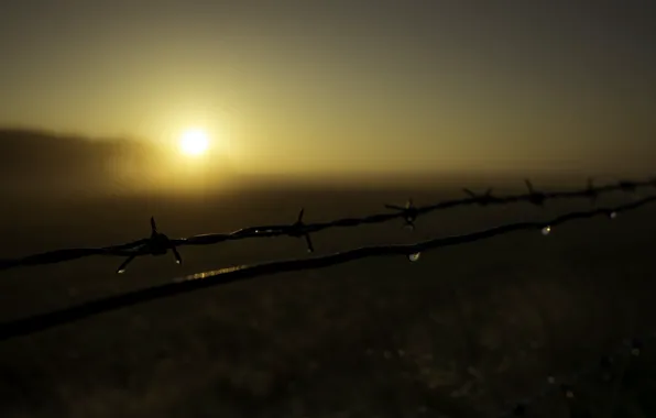 Picture night, fog, the fence, barbed wire