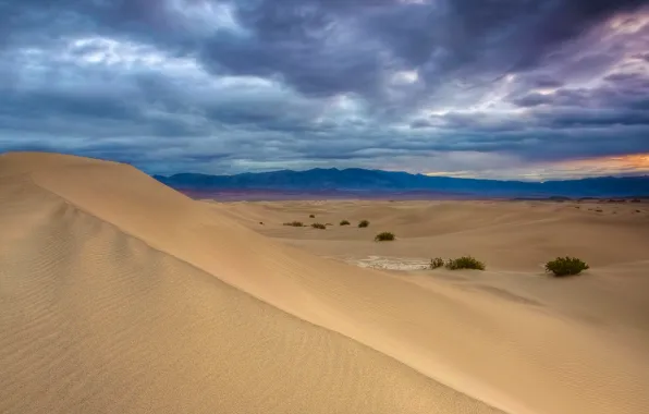 Picture sand, the sky, photo, widescreen, desert, landscapes