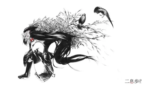 Characters, white background, crows, vocaloid, Hatsune Miku, long hair, flower in hair, by Sawasawa