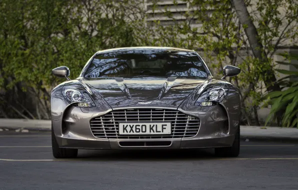 Picture trees, Aston Martin, before, Aston Martin, Parking, supercar, supercar, front