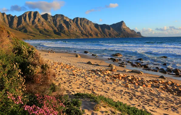 Sand, sea, wave, mountains, stones, shore, shrub