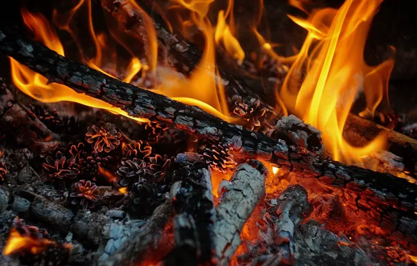 Fire, flame, heat, wood