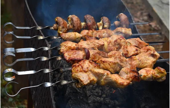 Picnic, kebabs, cooking