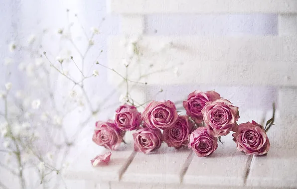 Light, flowers, table, Board, roses, treatment, bouquet, texture