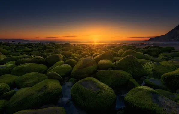 Sunset, stones, shore