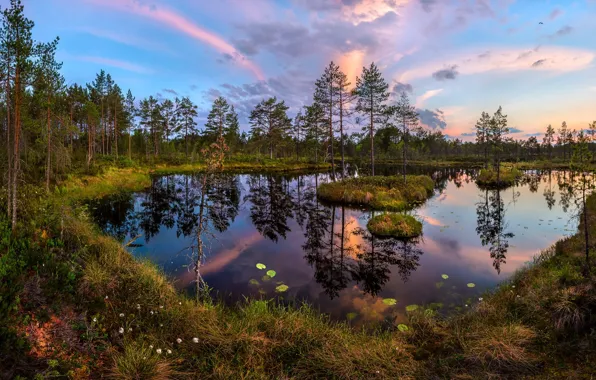 Picture sunset, lake, the evening
