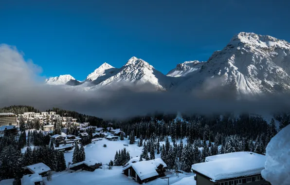 Picture winter, mountains, fog, home