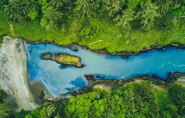 Blue, Green, Water, River, Forest, Stones